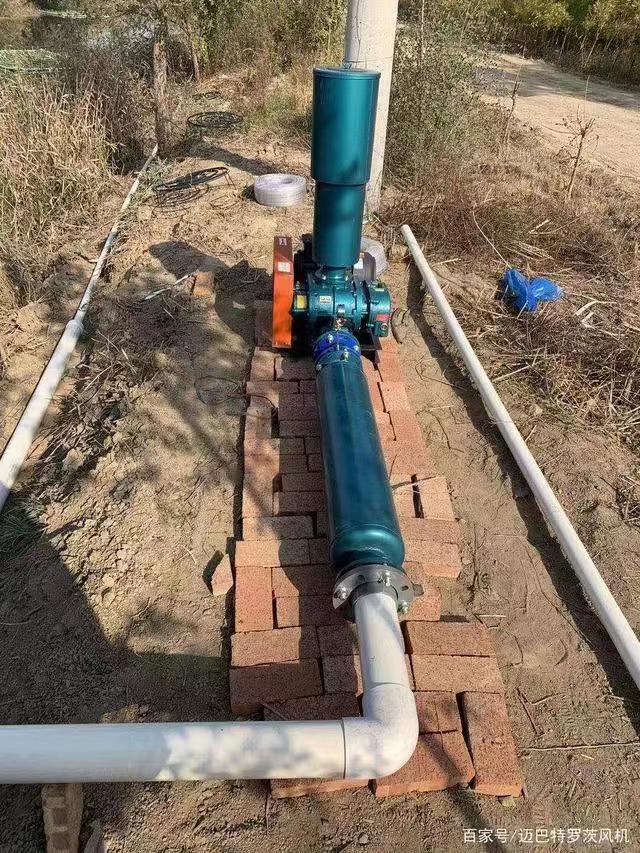 水产养殖案例(图1)
